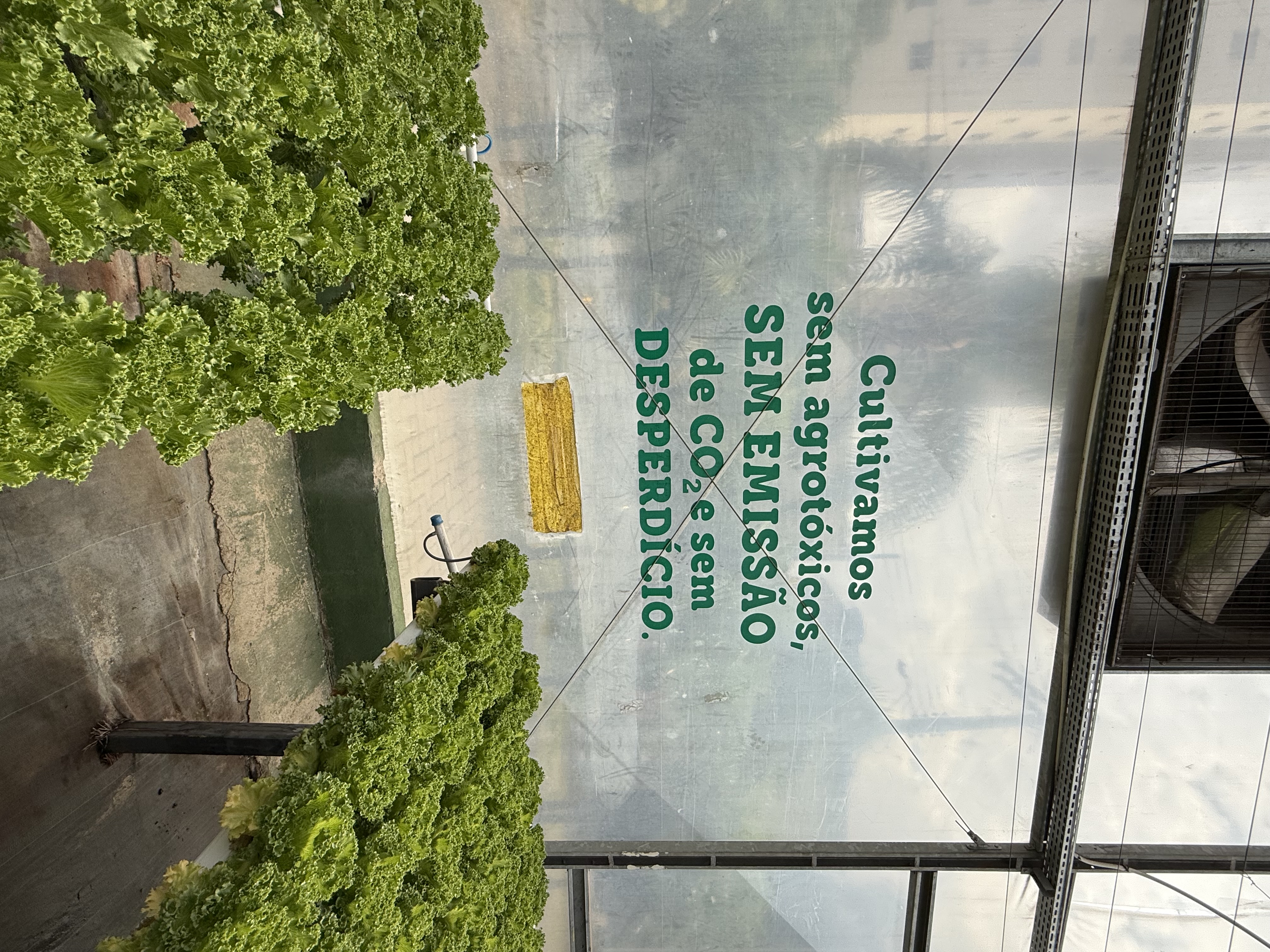 Atividade em jardim vivo no BeGreen